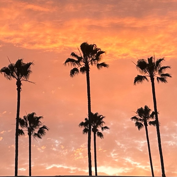 pinksky777